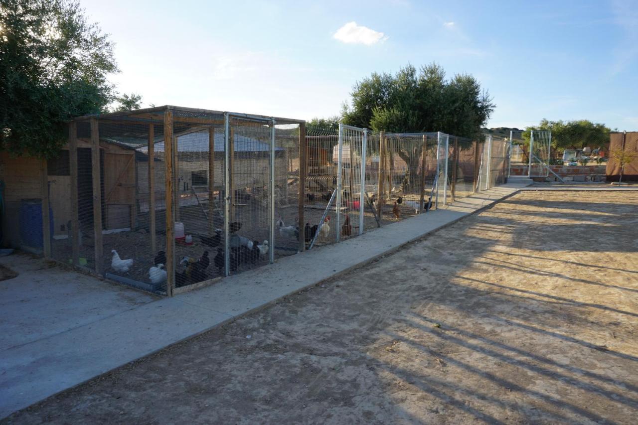 Willa Cuchi Farm Chinchón Zewnętrze zdjęcie